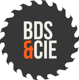 Logo Brain de Scie & Cie