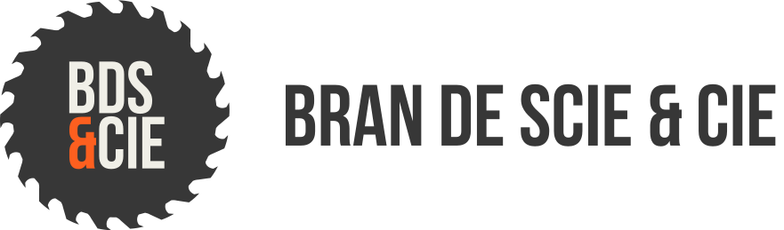 Logo Brain de Scie & Cie